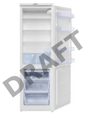 Холодильник DON R-291 BI, белая искра