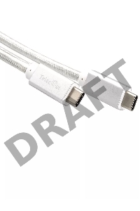 Кабель USB 3.1 Type Cm -- Cm IC 5А 10Gbs длина 1M, Telecom <TC420S> серебряный