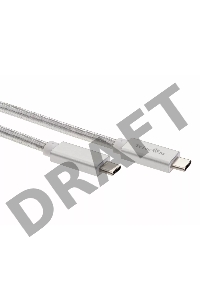 Кабель USB 3.1 Type Cm -- Cm IC 5А 10Gbs длина 1M, Telecom <TC420S> серебряный