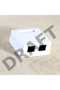 Розетка внешняя RJ-45 (UTP) 5E кат. двойная