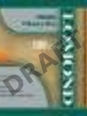 Бумага Lomond 1202062 36