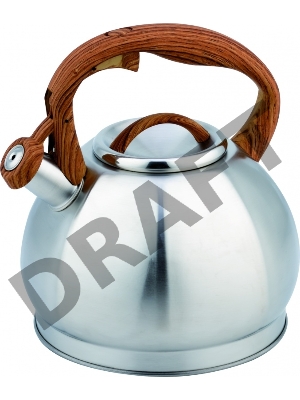 Чайник для плиты TECO TC-121, нержавейка, 3,0 л со свистком