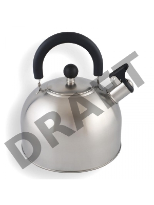 Чайник Катунь КТ-104, 3,2л., матовая полировка.