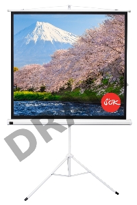Экран Sakura 180x180см TriScreen 1:1 напольный рулонный белый  100' Matt White (MW), серый корпус