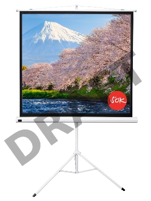Экран Sakura 180x180см TriScreen 1:1 напольный рулонный белый  100' Matt White (MW), серый корпус