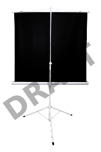 Экран Sakura 180x180см TriScreen 1:1 напольный рулонный белый  100' Matt White (MW), серый корпус