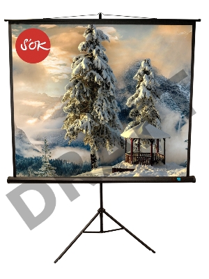Экран Sakura 200x200см TriScreen 1:1 напольный рулонный белый  111' Matt White (MW), черный корпус