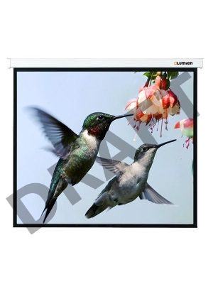 Экран Lumien 280x202см Master Picture LMP-100117 16:9 настенно-потолочный рулонный