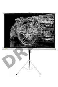 Экран Cactus 124.5x221см Triscreen CS-PST-124x221 16:9 напольный рулонный черный