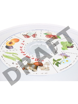 Сушилка для овощей Великие реки Ветерок-2 У, 6 поддонов, в гофротаре, прозрачный