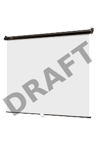 Экран 180x180см Digis Optimal-C DSOC-1102 1:1 настенно-потолочный рулонный