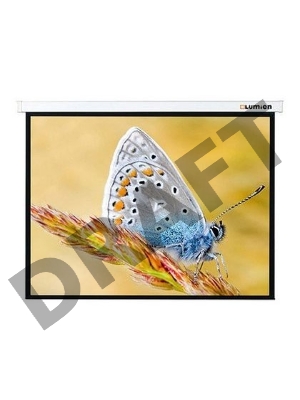 Экран с электроприводом Lumien Master Control 229x305 см (146