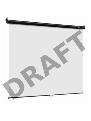 Экран 180x180см Digis Optimal-C DSOC-1102 1:1 настенно-потолочный рулонный