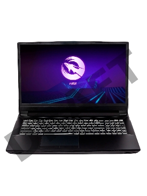 Ноутбук Hiper G16 Core i7 11700K 16Gb SSD512Gb NVIDIA GeForce RTX 3070 8Gb 16.1