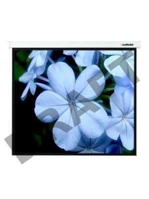 Экран Lumien 280x280см Master Control LMC-100126 1:1 настенно-потолочный рулонный белый (моторизованный привод)
