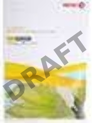 Бумага Xerox COLOTECH+  А3/160 гр./250 листов/упаковка/170 CIE