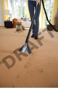 Пылесос моющий Karcher SE4001 1400Вт желтый/черный