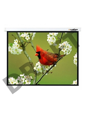 Экран Lumien 305x305см Master Picture LMP-100107 1:1 настенно-потолочный рулонный