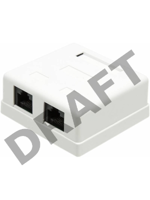Розетка TWT (TWT-SM2-4545-WH) настенная 2 порта RJ-45 категории 5е. UTP. белая