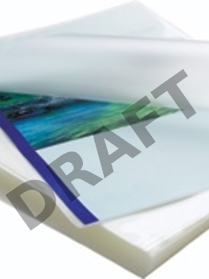 Пленка для ламинирования Fellowes 80мкм A4 (100шт) матовая 216x303мм CRC-54521 (FS-54521)