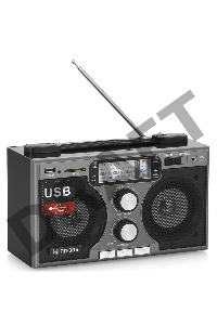 Радиоприемник портативный Сигнал БЗРП РП-306 черный USB SD