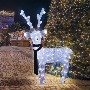 Акриловая светодиодная фигура Северный олень 49х18х85 см, 120 светодиодов, IP65 понижающий трансформатор в комплекте, NEON-NIGHT