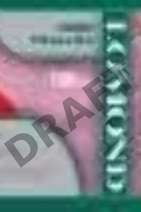 Фотобумага Lomond 1204033 1067мм-30м/150г/м2/белый глянцевое для струйной печати втулка:50.8мм (2