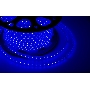 LED лента 220 В, 10х7 мм, IP67, SMD 2835, 60 LED/m, цвет свечения синий, бухта 100 м