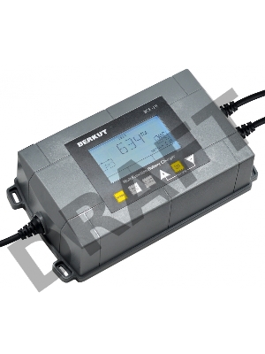 Зарядное устройство Berkut BCA-10