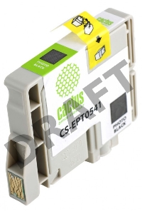 Картридж струйный Cactus CS-EPT0541 черный для Epson Stylus Photo R800/ R1800 (16,2ml)