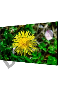 Тонкошовная ЖК панель 55