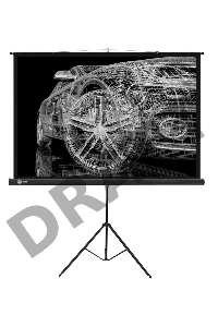 Экран Cactus 124.5x221см Triscreen CS-PST-124x221 16:9 напольный рулонный черный