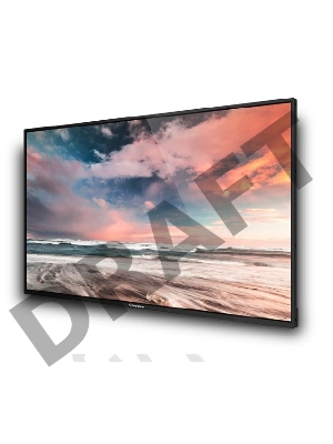 Профессиональный дисплей GoodView 55