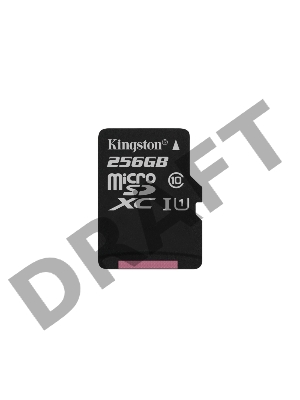 Флеш карта microSDHC 256GB microSDXC Class10 Kingston <SDCS2/256GBSP> UHS-I Canvas Select up to 100MB/s без адапт