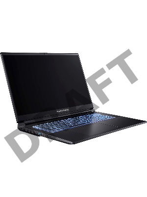 Ноутбук Dream Machines RG3060-17EU37