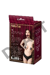 Кляп TOYFA Theatre, PU кожа, красный, 65 см