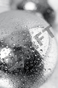 Стринги TOYFA Metal с двумя шарами, серебряные