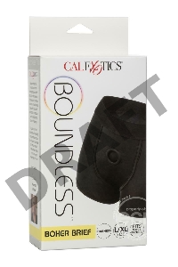 Черные трусы-боксеры BOUNDLESS BOXER BRIEF HARNESS L/XL