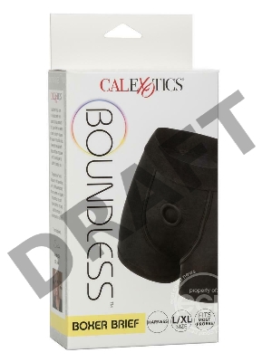 Черные трусы-боксеры BOUNDLESS BOXER BRIEF HARNESS L/XL