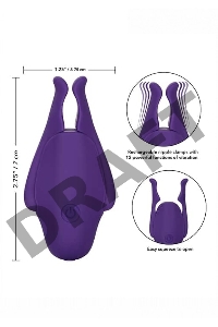 Фиолетовые виброзажимы для сосков Nipple Play Rechargeable Nipplettes