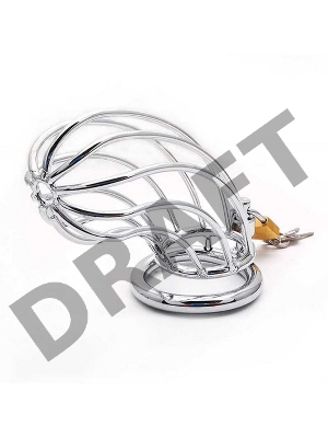 Мужской пояс верности