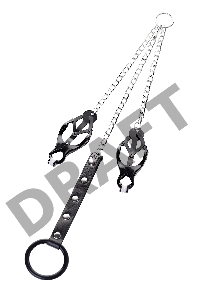 Зажимы для сосков с кольцом для пениса, TOYFA Metal, черные