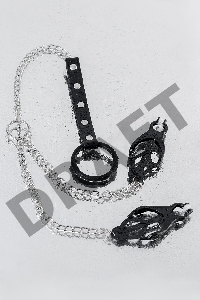 Зажимы для сосков с кольцом для пениса, TOYFA Metal, черные
