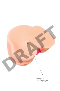 Мастурбатор реалистичный TOYFA Juicy Pussy Nicole с вибрацией , вагина и анус, TPR, телесный, 19 см