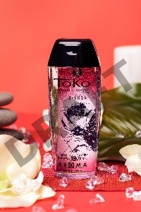 Лубрикант Shunga Toko Aroma на водной основе, клубника и шампанское, 165 мл