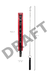 Ошейник TOYFA Theatre красно-черный кожаный с поводком