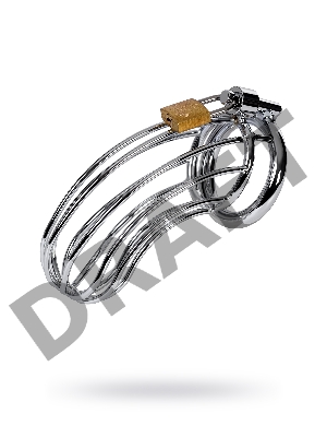 Пояс верности мужской TOYFA Metal, серебряный