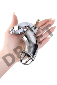 Пояс верности мужской TOYFA Metal, серебряный