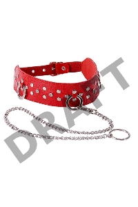 Красный кожаный ошейник с карабином и поводком