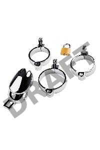 Пояс верности мужской TOYFA Metal, серебряный